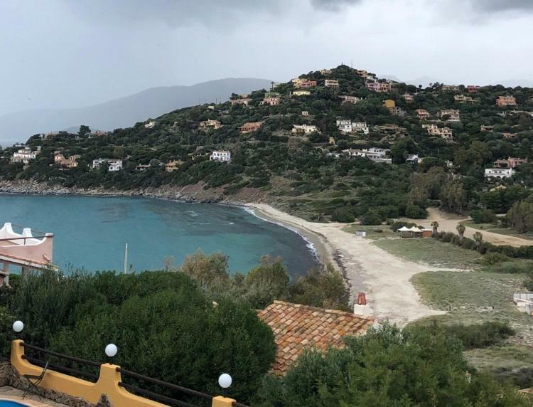 Villa Camelia Torre delle Stelle Bagian luar foto